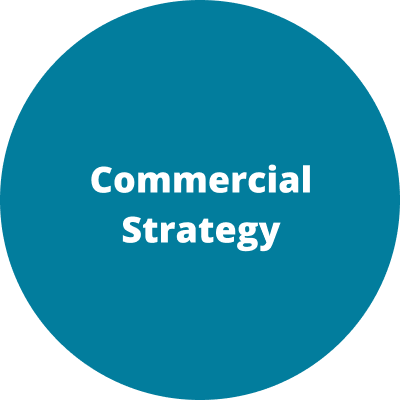 Commercial Strategy Hover Icon